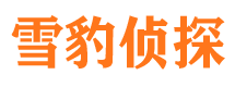 靖边侦探公司